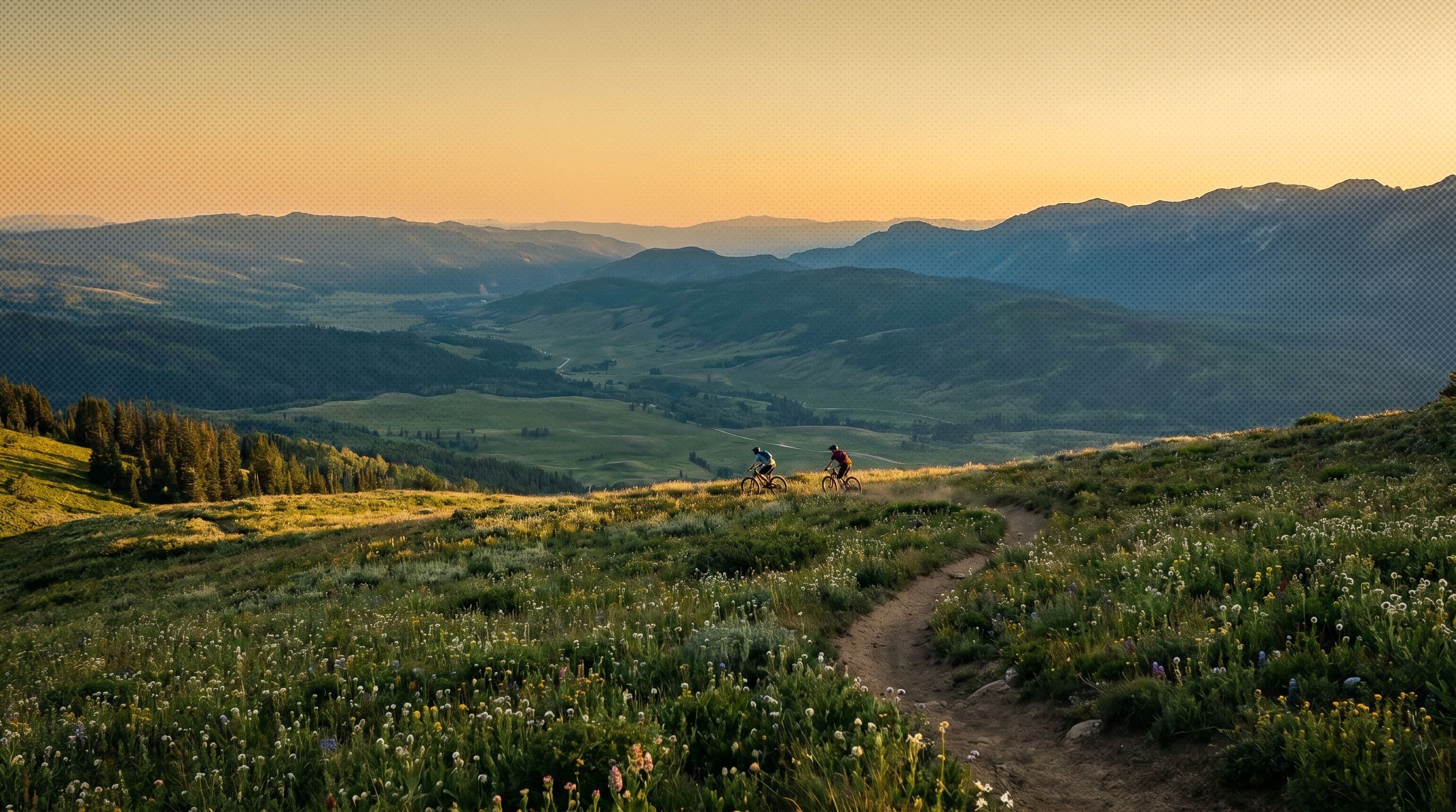 alpine meadow