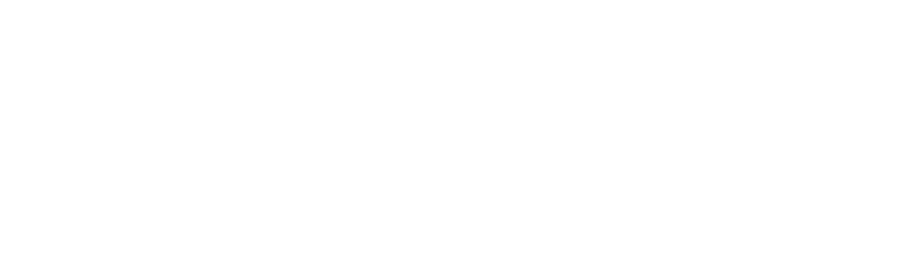 AI Experts